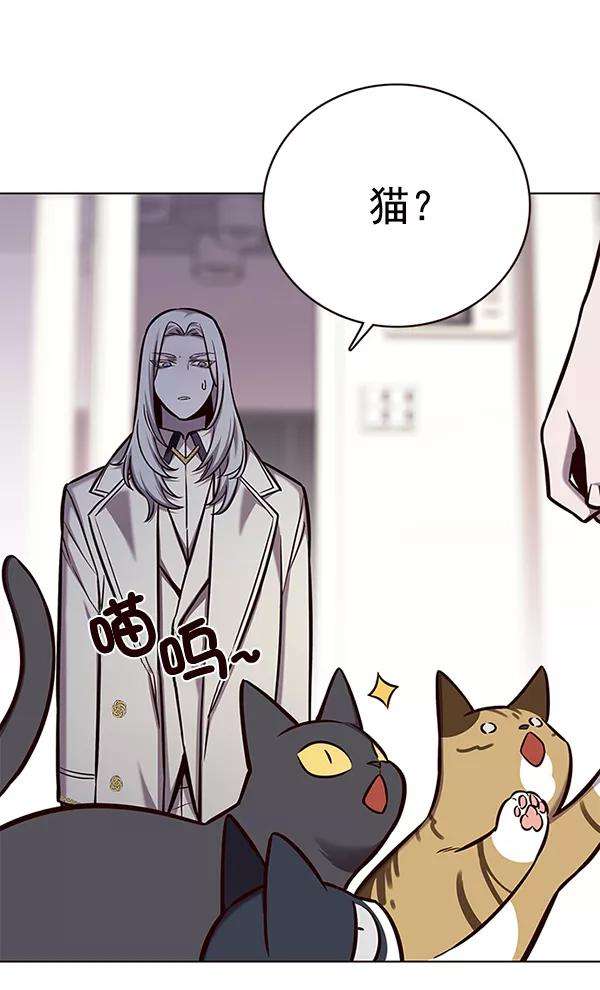 觉醒吧，铲屎官！138话