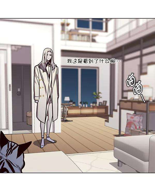 觉醒吧，铲屎官！138话