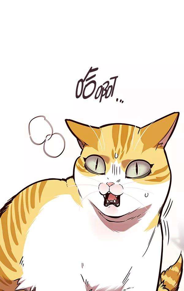 觉醒吧，铲屎官！138话