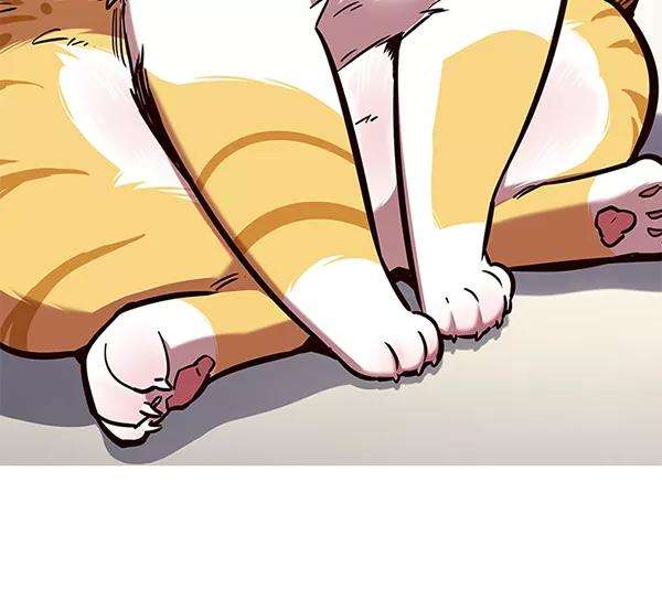 觉醒吧，铲屎官！138话