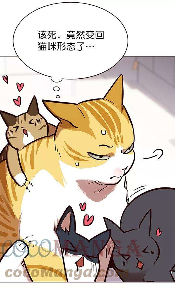 觉醒吧，铲屎官！138话