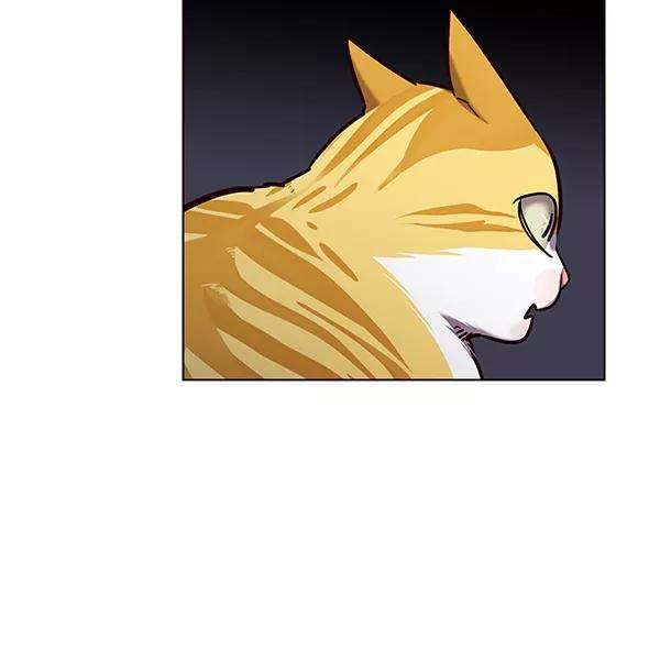 觉醒吧，铲屎官！139话