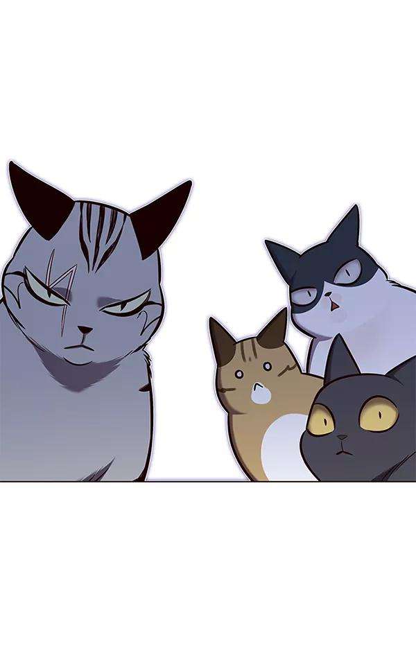 觉醒吧，铲屎官！139话