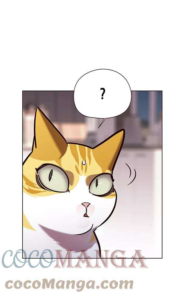 觉醒吧，铲屎官！139话