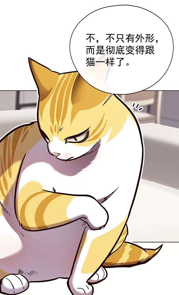 觉醒吧，铲屎官！139话