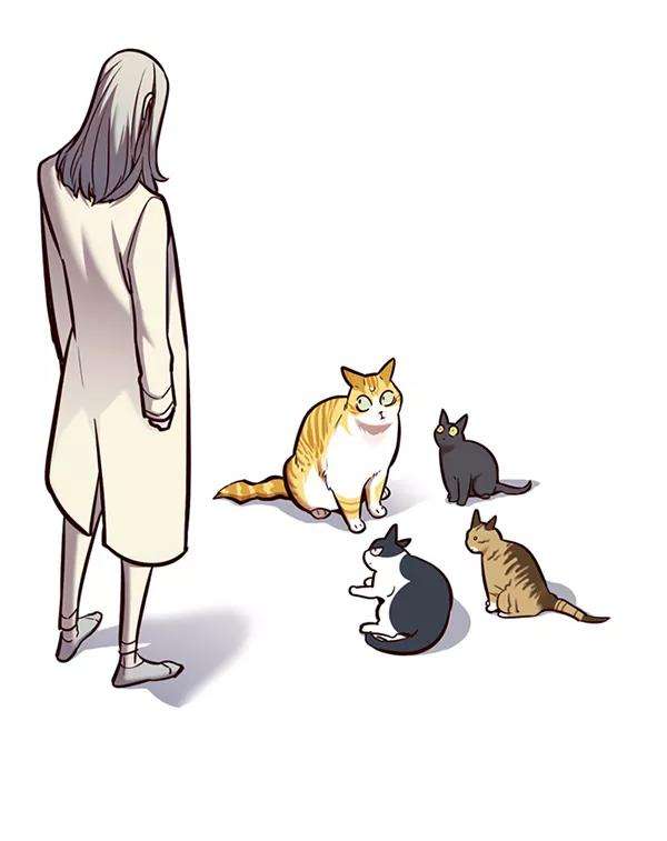 觉醒吧，铲屎官！139话