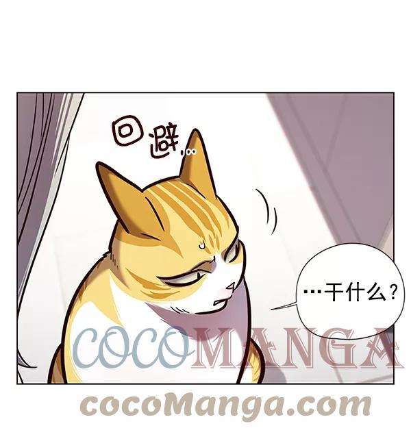 觉醒吧，铲屎官！139话