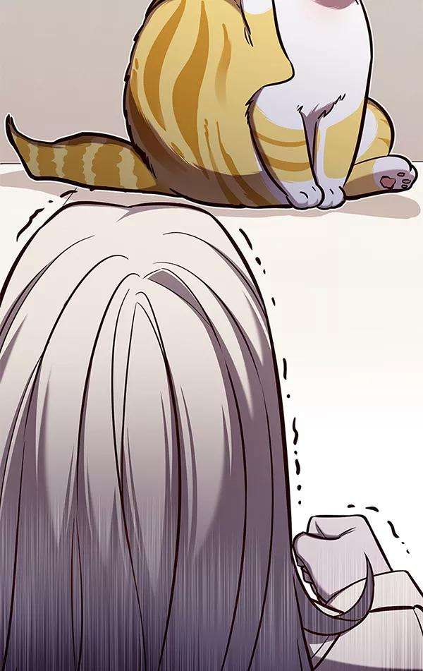 觉醒吧，铲屎官！139话