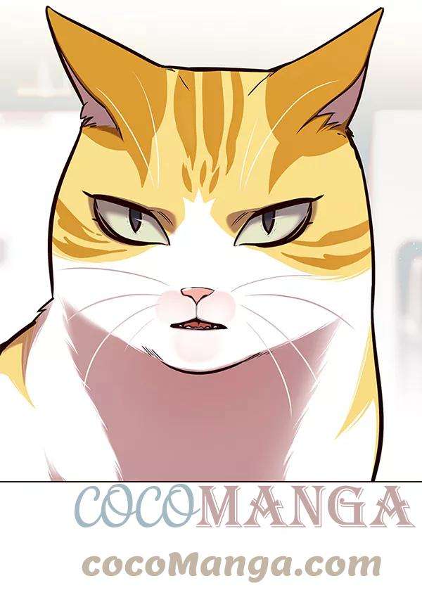 觉醒吧，铲屎官！139话