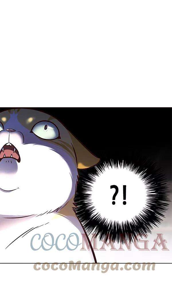 觉醒吧，铲屎官！139话