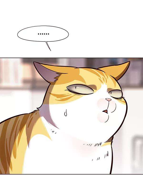 觉醒吧，铲屎官！139话