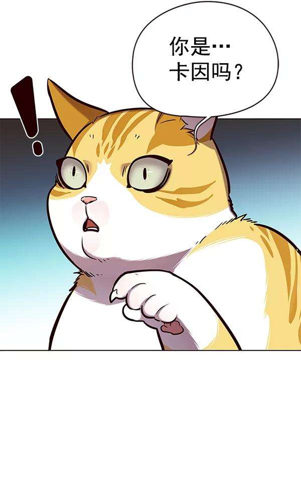 觉醒吧，铲屎官！141话