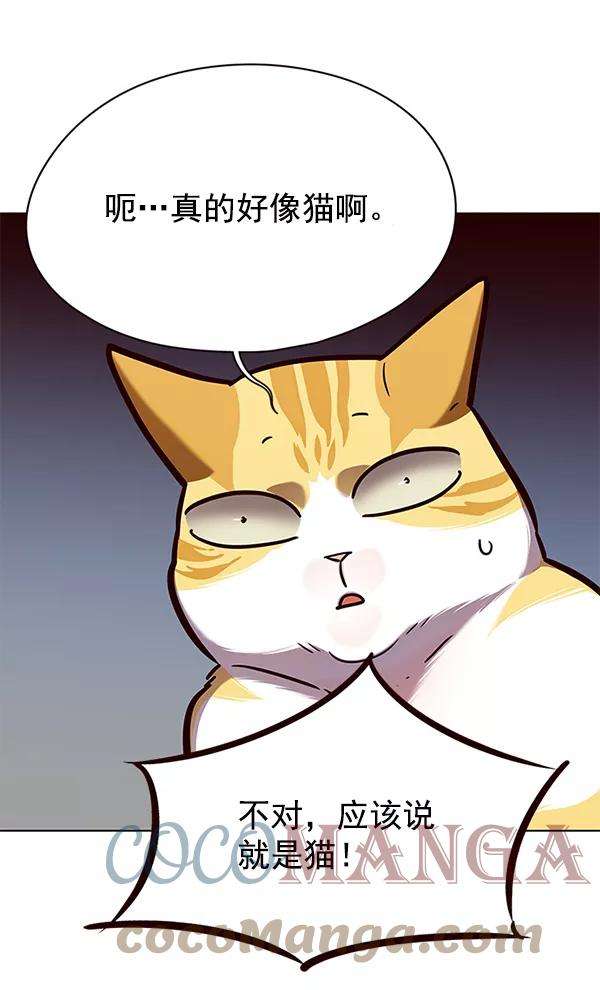 觉醒吧，铲屎官！141话