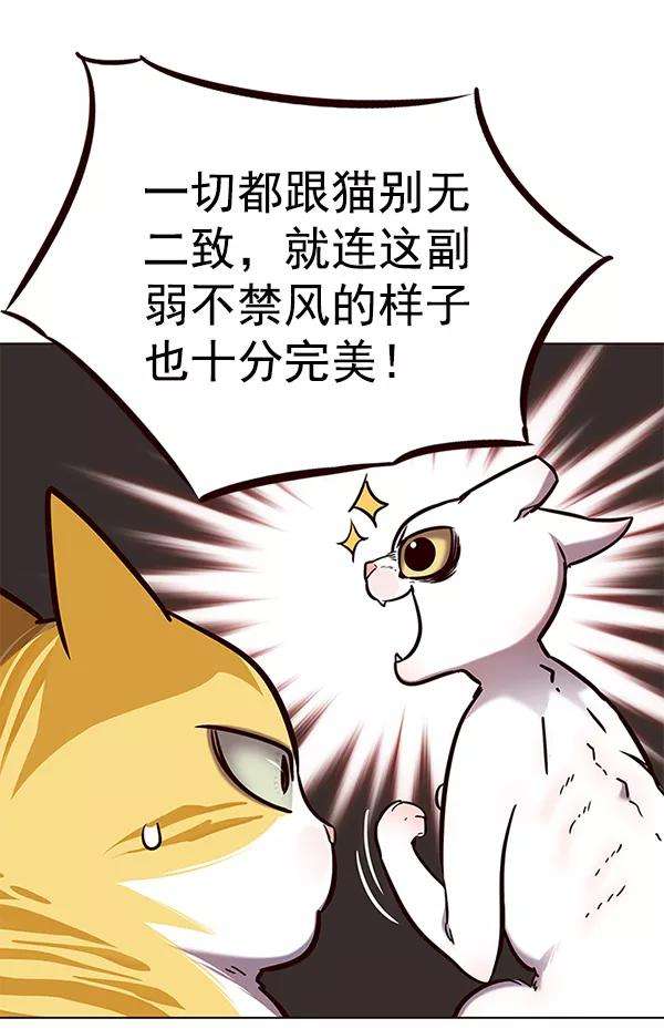觉醒吧，铲屎官！141话