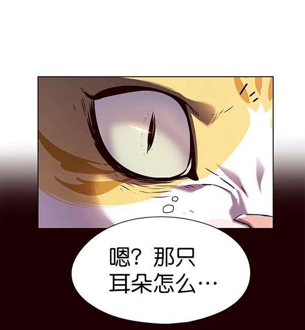 觉醒吧，铲屎官！141话