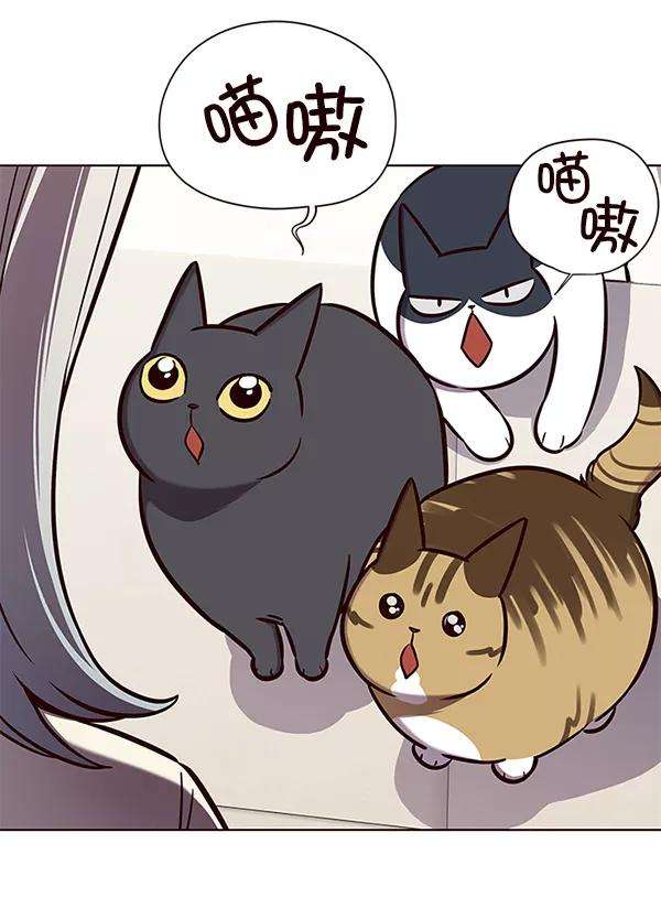 觉醒吧，铲屎官！141话
