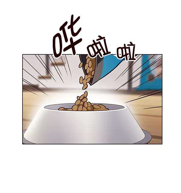 觉醒吧，铲屎官！141话