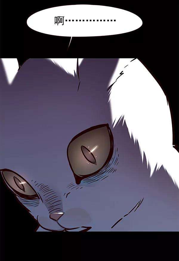 觉醒吧，铲屎官！142话