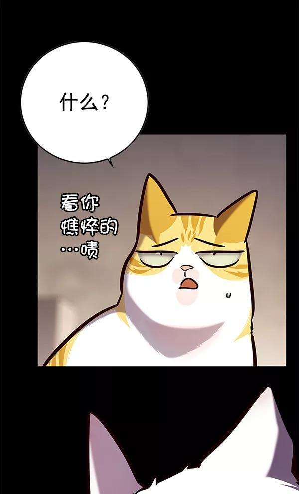 觉醒吧，铲屎官！142话