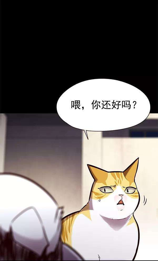 觉醒吧，铲屎官！142话