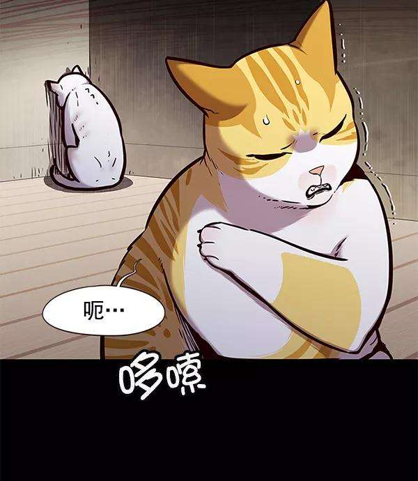 觉醒吧，铲屎官！142话