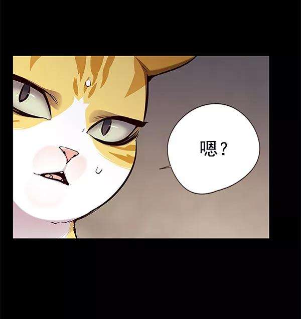 觉醒吧，铲屎官！142话