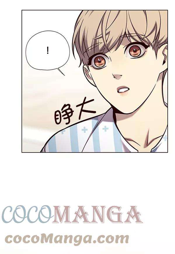 觉醒吧，铲屎官！142话