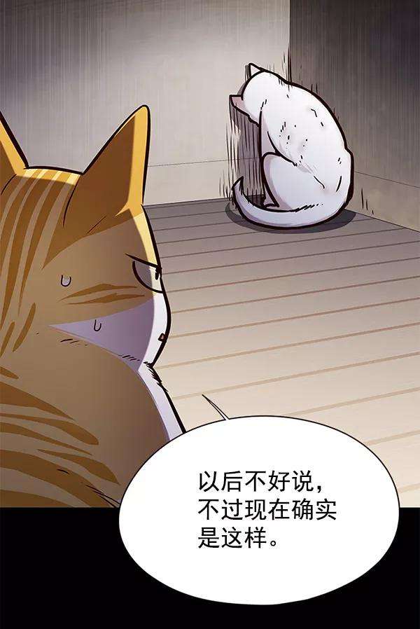 觉醒吧，铲屎官！142话