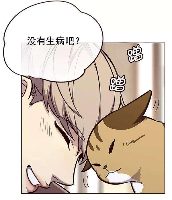 觉醒吧，铲屎官！143话