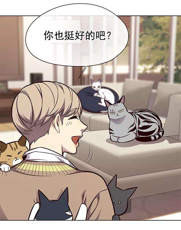 觉醒吧，铲屎官！143话