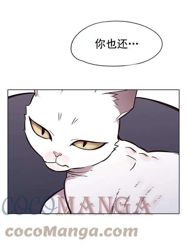 觉醒吧，铲屎官！143话