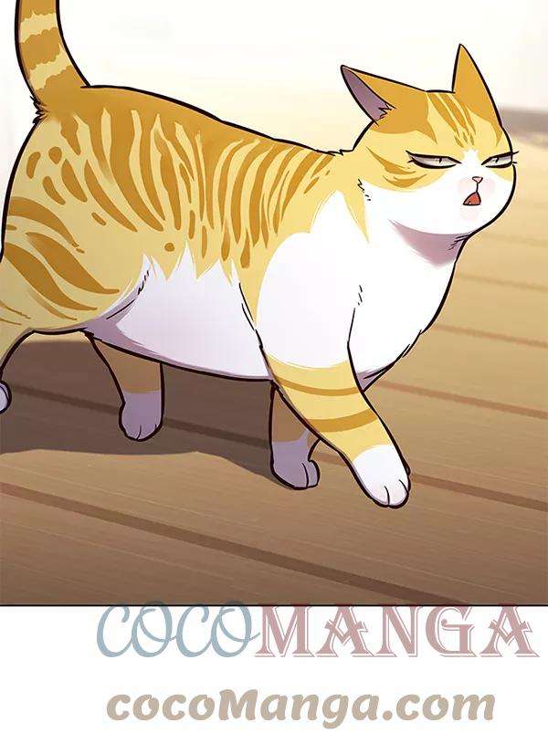 觉醒吧，铲屎官！143话