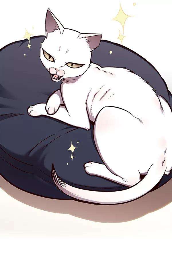 觉醒吧，铲屎官！143话