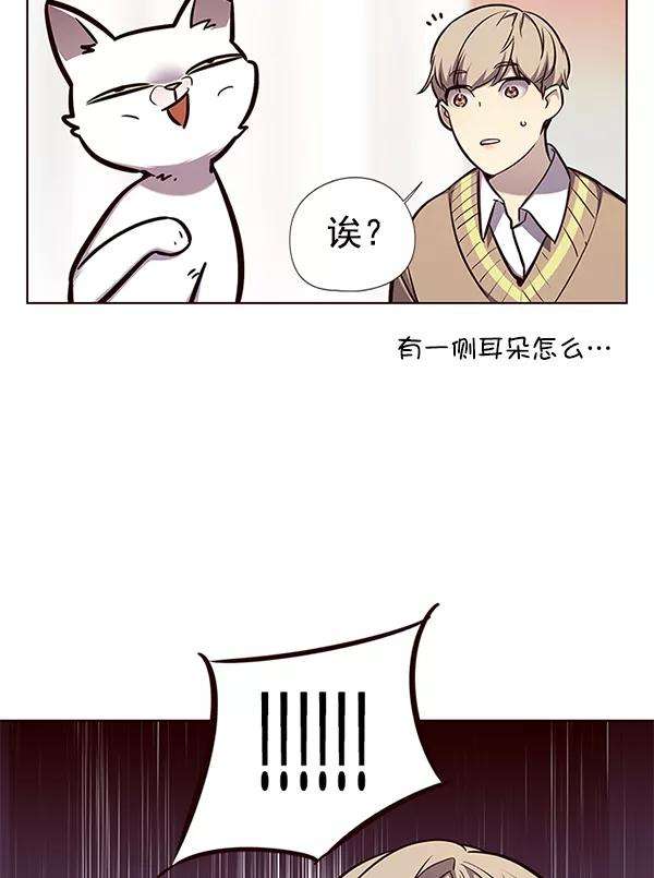 觉醒吧，铲屎官！143话