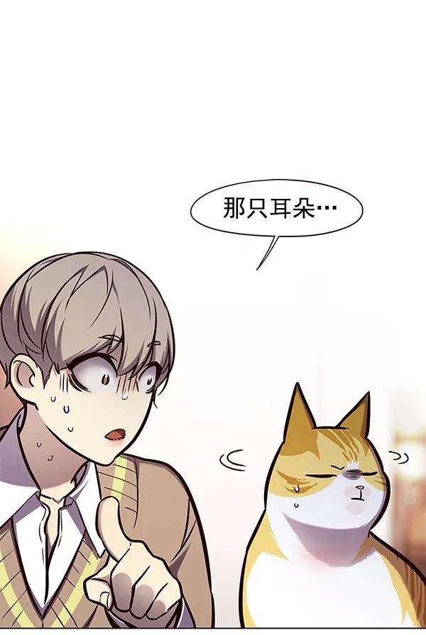 觉醒吧，铲屎官！143话