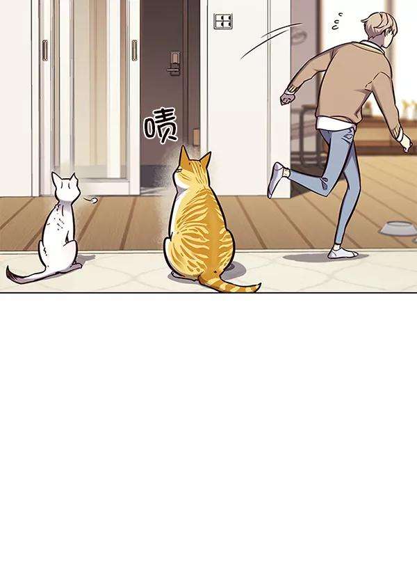 觉醒吧，铲屎官！143话