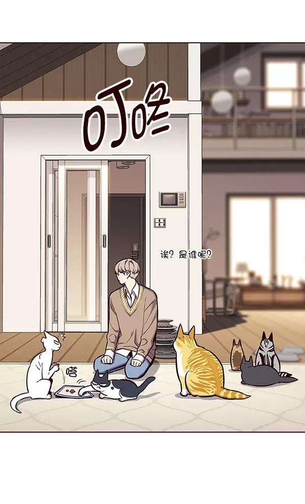 觉醒吧，铲屎官！143话