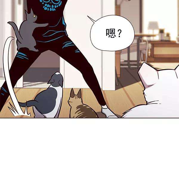 觉醒吧，铲屎官！143话