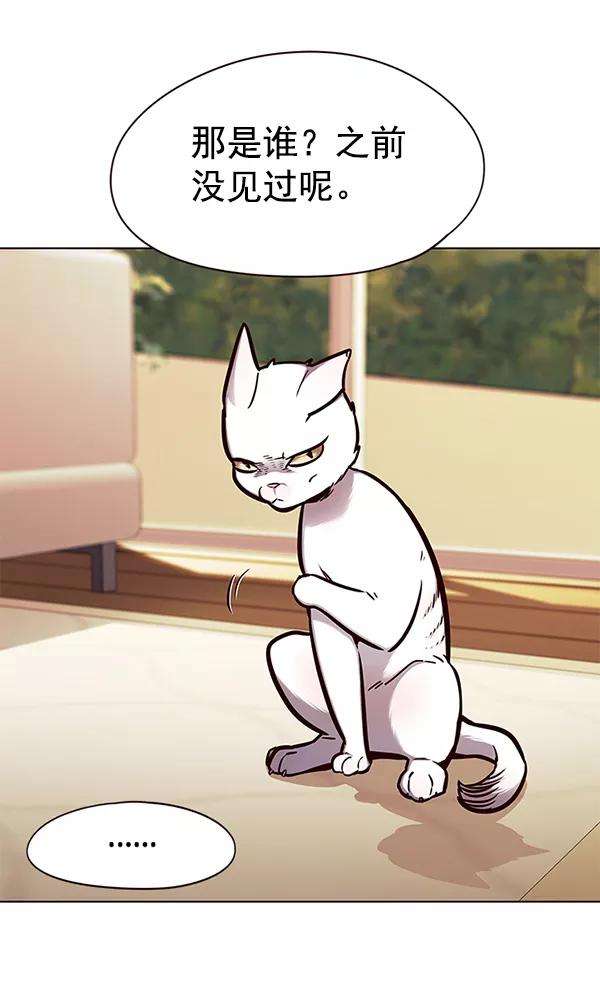 觉醒吧，铲屎官！143话