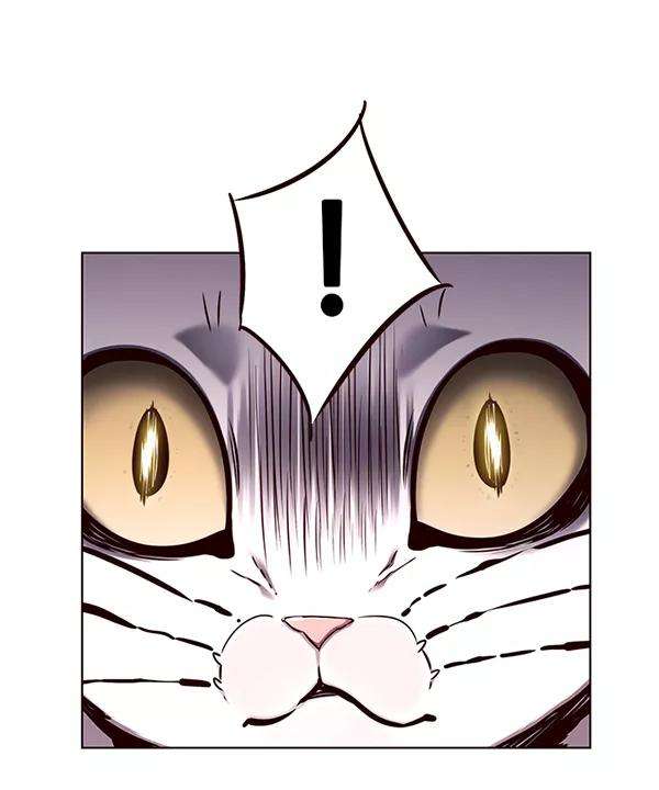 觉醒吧，铲屎官！143话