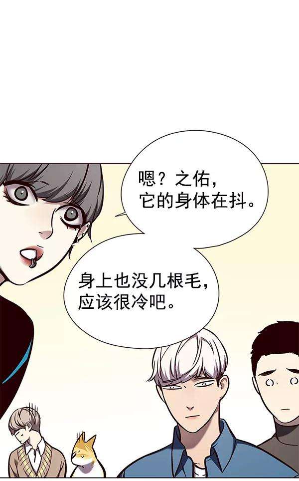 觉醒吧，铲屎官！143话