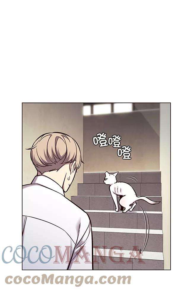 觉醒吧，铲屎官！144话