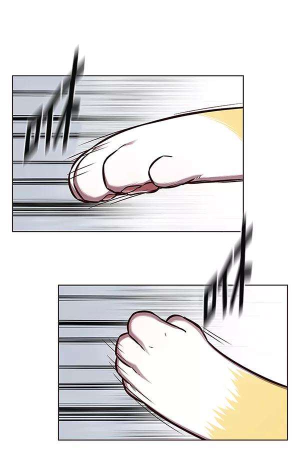 觉醒吧，铲屎官！144话