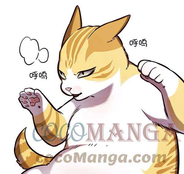 觉醒吧，铲屎官！144话