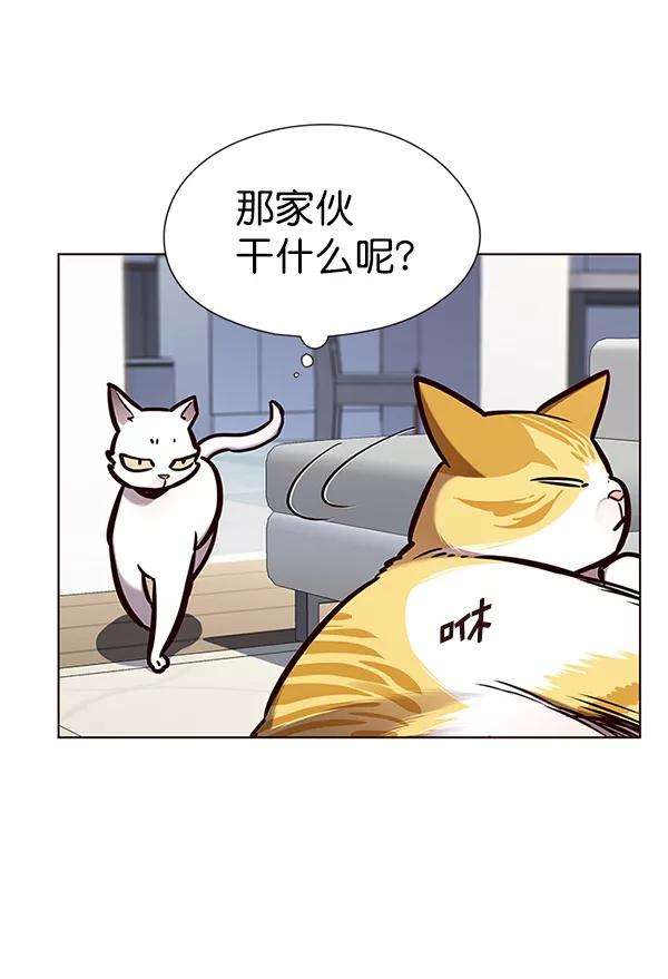 觉醒吧，铲屎官！144话