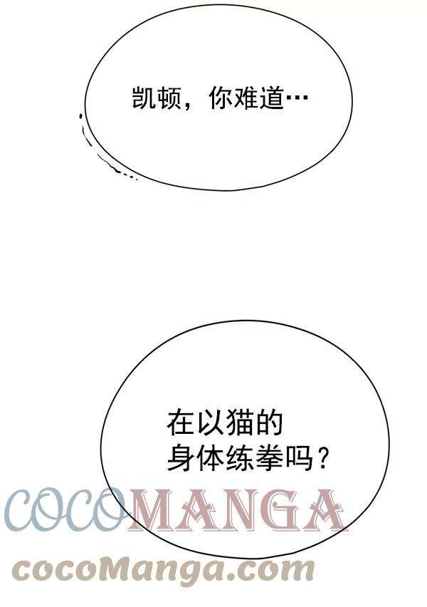 觉醒吧，铲屎官！144话