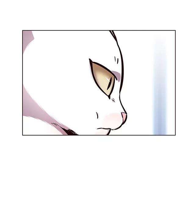 觉醒吧，铲屎官！144话
