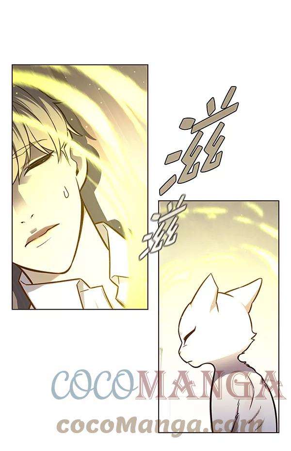 觉醒吧，铲屎官！144话