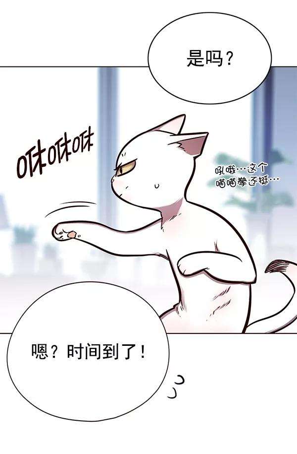 觉醒吧，铲屎官！144话