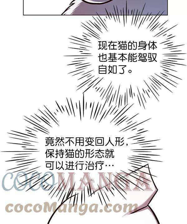 觉醒吧，铲屎官！144话